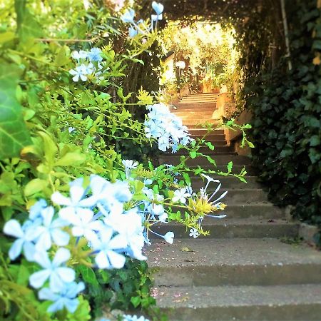 Delle Rose Bed & Breakfast Cefalù Eksteriør bilde