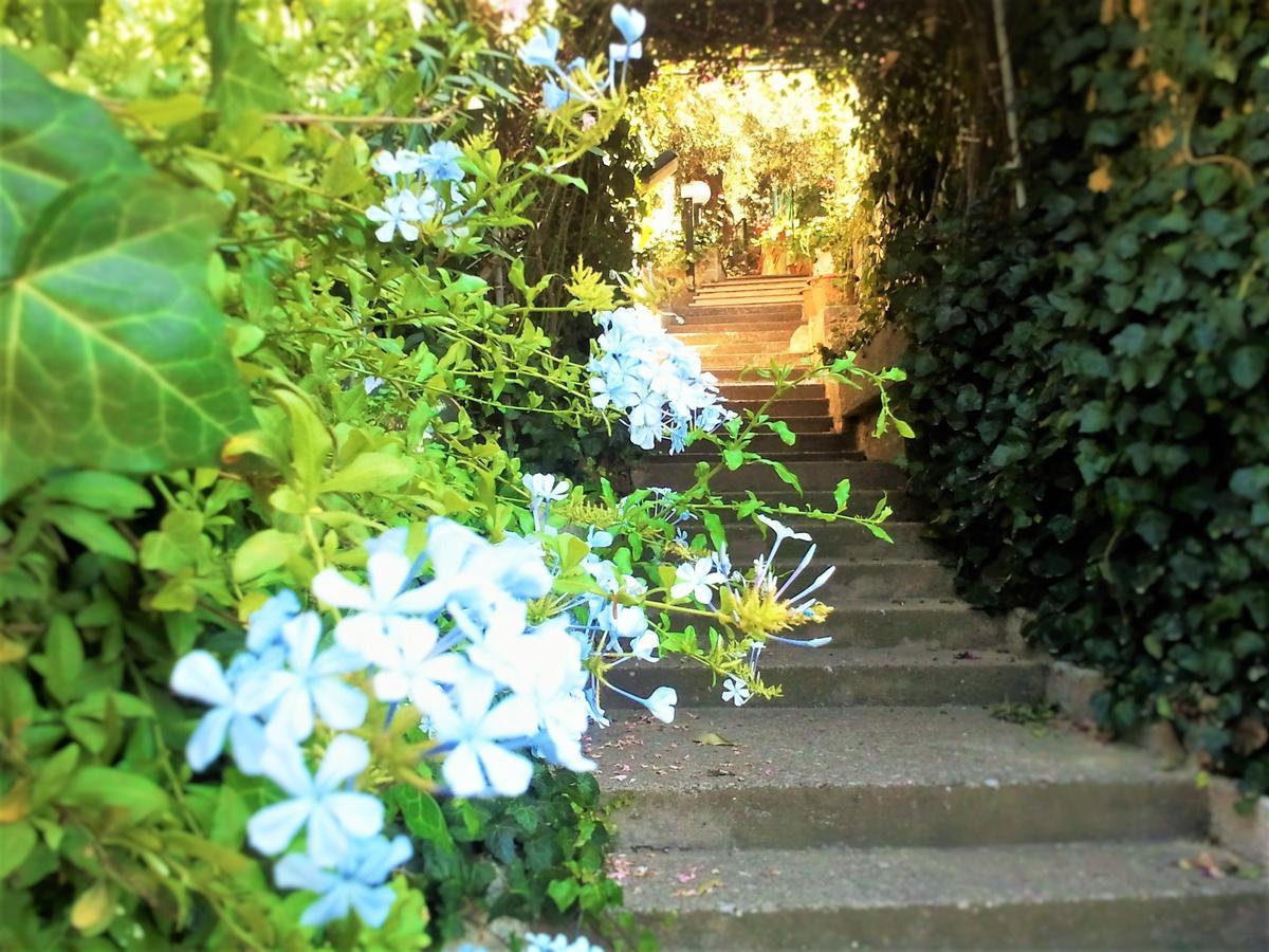 Delle Rose Bed & Breakfast Cefalù Eksteriør bilde