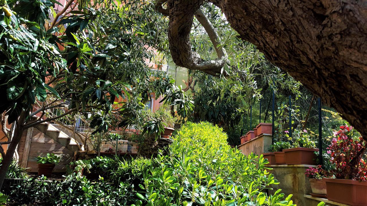 Delle Rose Bed & Breakfast Cefalù Eksteriør bilde