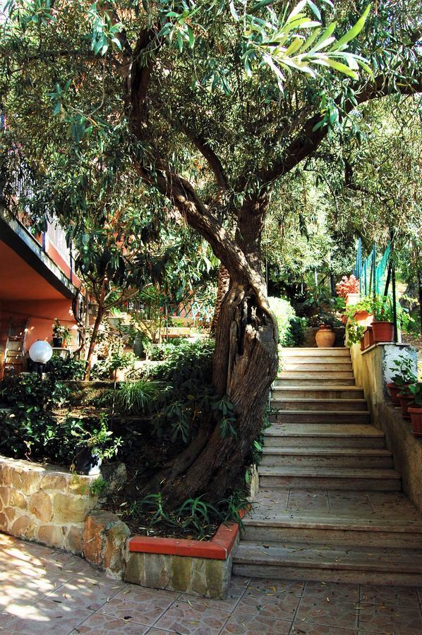 Delle Rose Bed & Breakfast Cefalù Eksteriør bilde