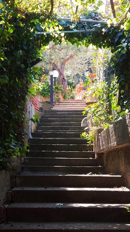 Delle Rose Bed & Breakfast Cefalù Eksteriør bilde