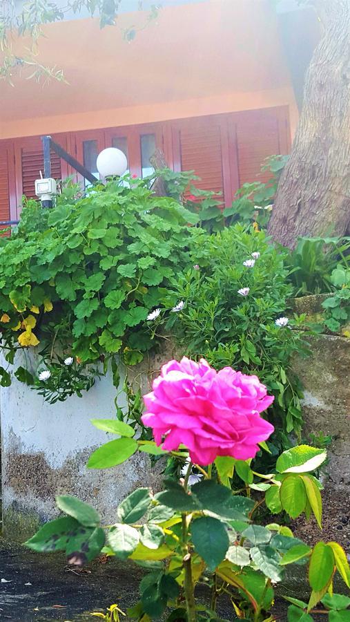 Delle Rose Bed & Breakfast Cefalù Eksteriør bilde